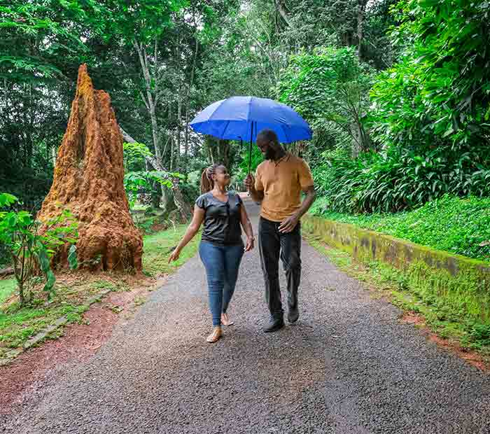 Two people walking the woods, with one carrying an umbrella