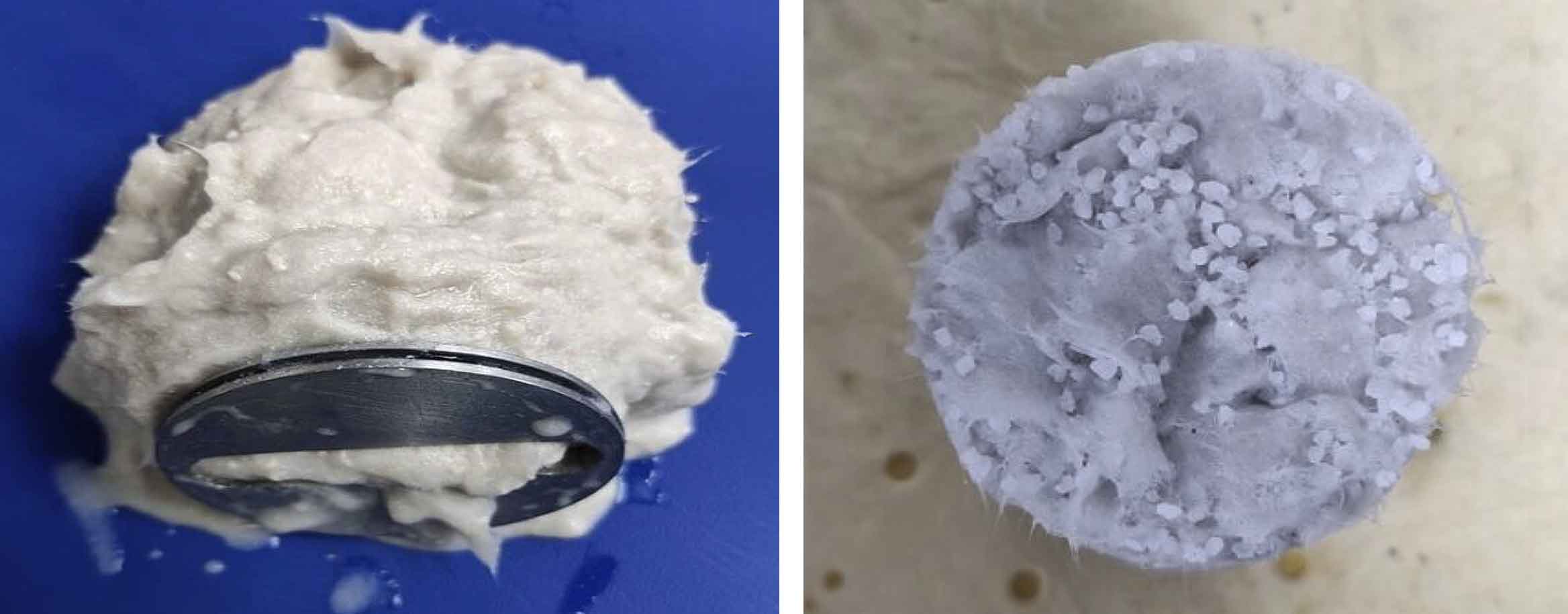10-mm slot plugged with Losseal Max treatment and a squeezed pill containing fibers and solids.