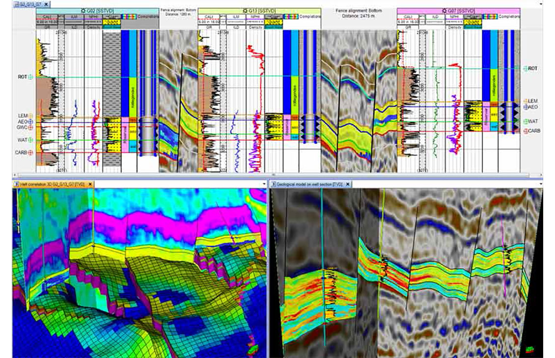 Petrel well correlation