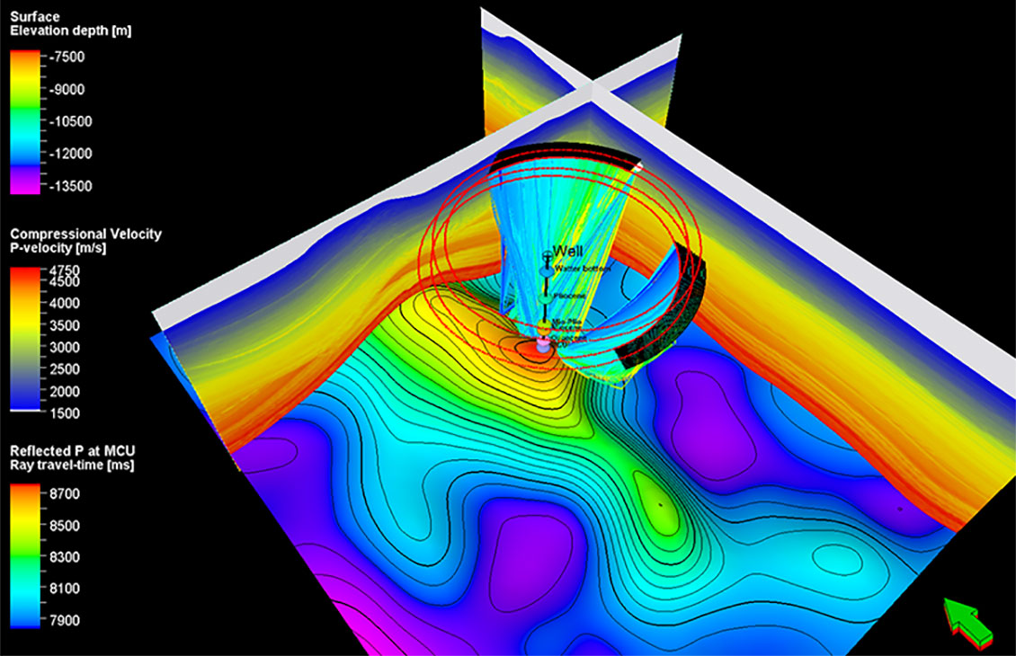 Petrel seismic survey design plug-in