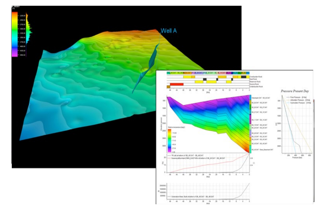 Analysis of PetroMod software simulation results