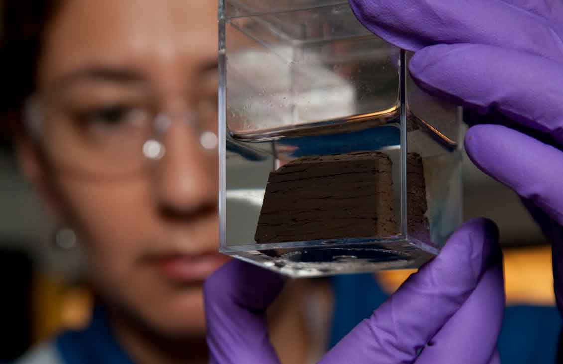 PrimoPAC fluid is used for optimal OHGP integrity