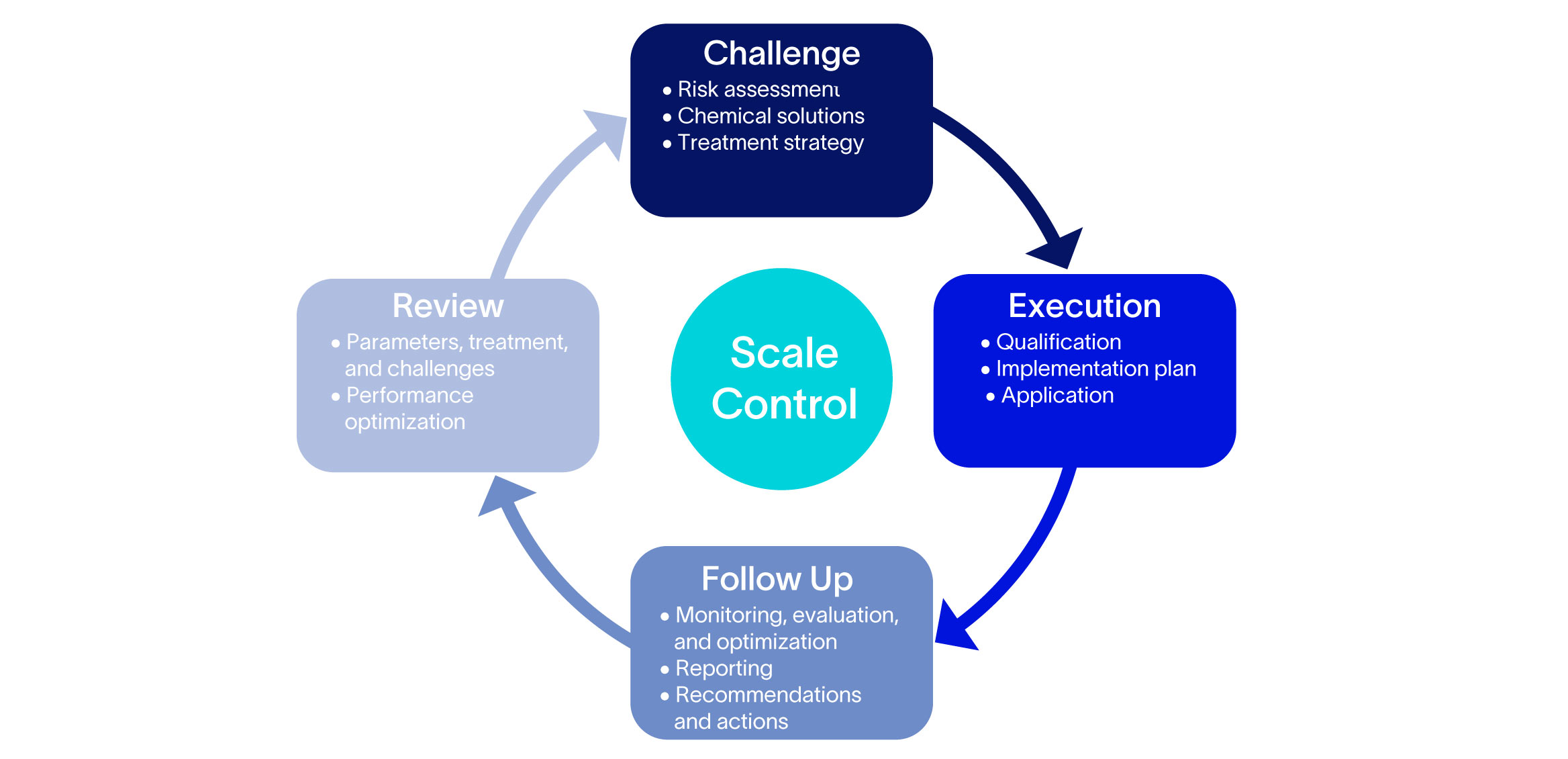 Diagram showing 4-step approach to scale management: assessment, strategy implementation, monitoring, and review.