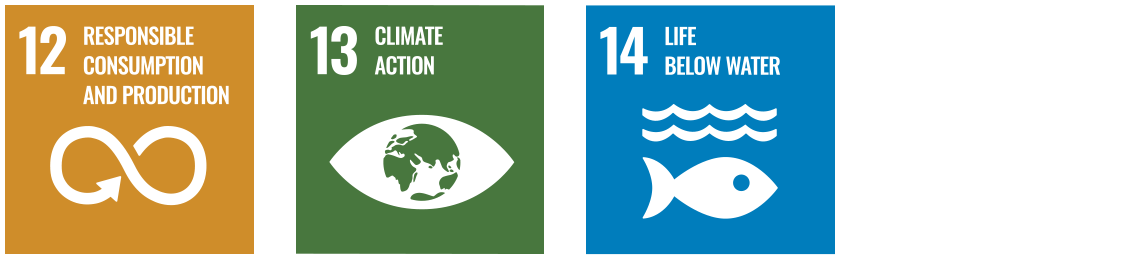 UN SDG icons 12, 13,  and 14 UN SDG icons 12, 13,  and 14