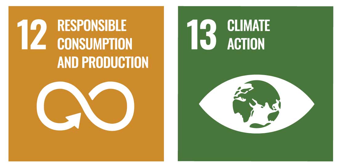 Logos for UN Sustainable Development Goals 12 and13.